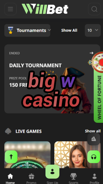 Big W Casino - Huge Win Potential Casino-www.bdqngd.com